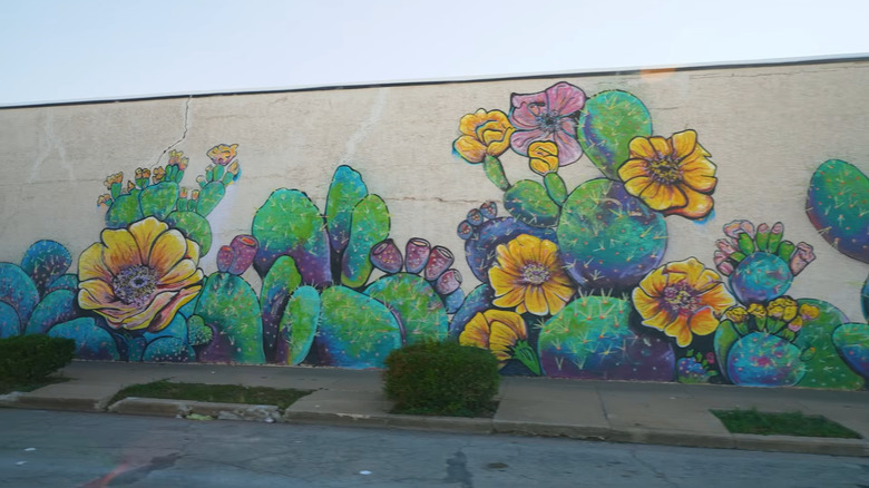 Vibrant outdoor mural in downtown Coleman, Texas depicting cacti and flowers
