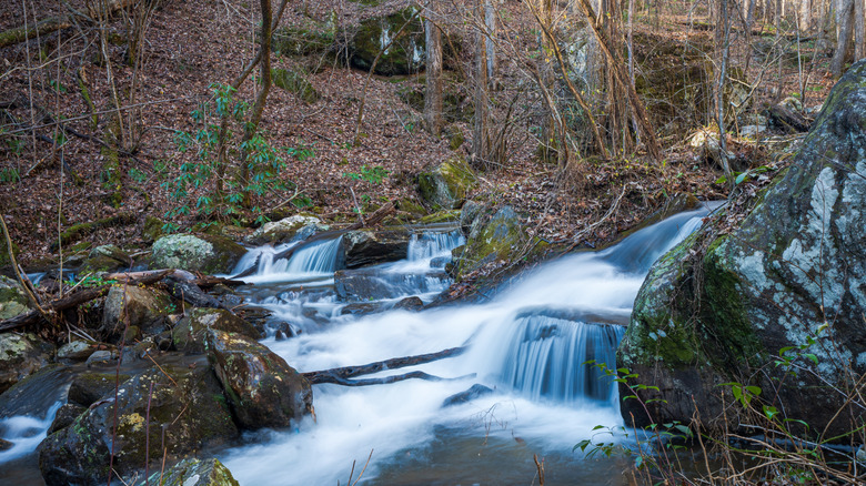 Anna Ruby Falls in Unicoi State Park in White County, GA