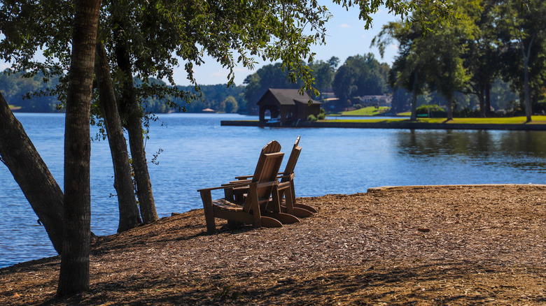 Two wooden chairs beneath trees on the shore of Lake Peachtree in Fayette County, Georgia