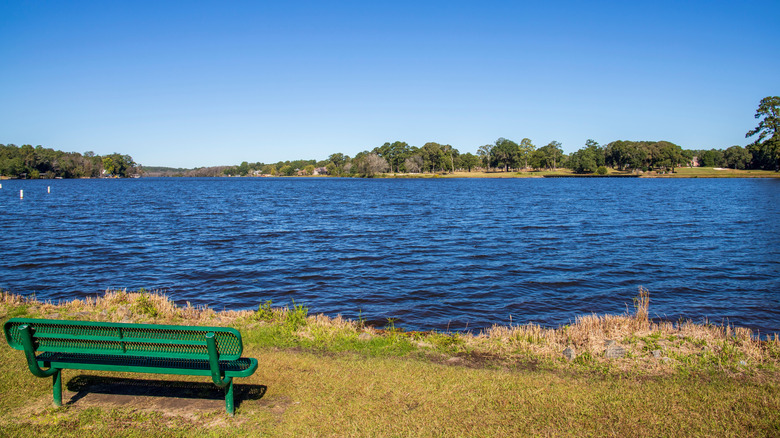 A bench overlooking Houston Lake in Perry, Georgia
