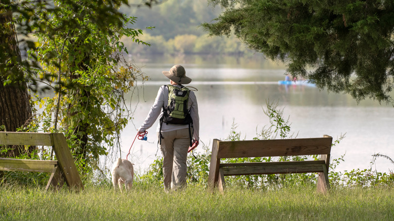 A hiker and her dog pause on a woodland trail to look out onto Lake Caroline in Red River National Wildlife Refuge.