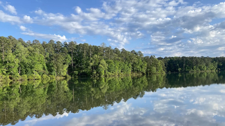Calm water reflecting green trees and blue sky at Bonita Lakes in Lauderdale County, Mississippi.