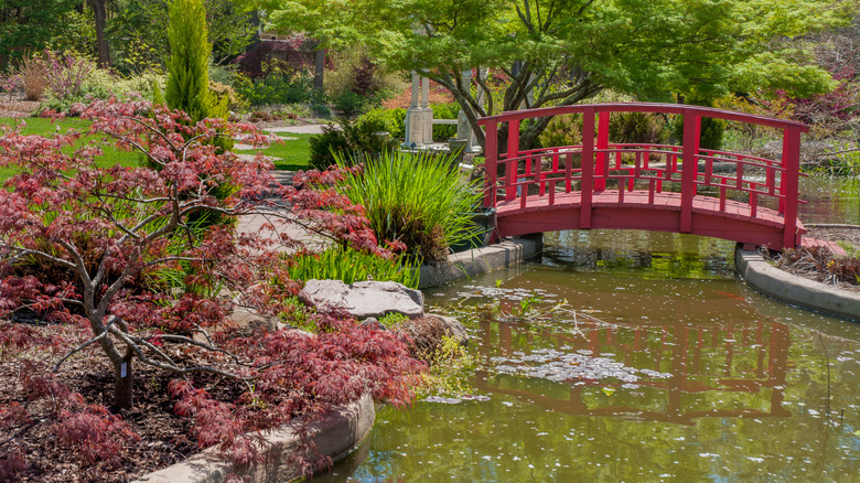 New Hanover's Arboretum includes a Japanese garden