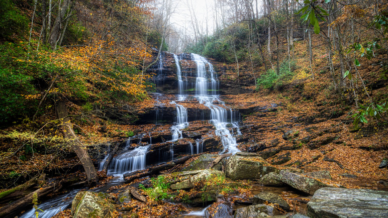 Pearson's Falls and Glen in Polk County, North Carolina
