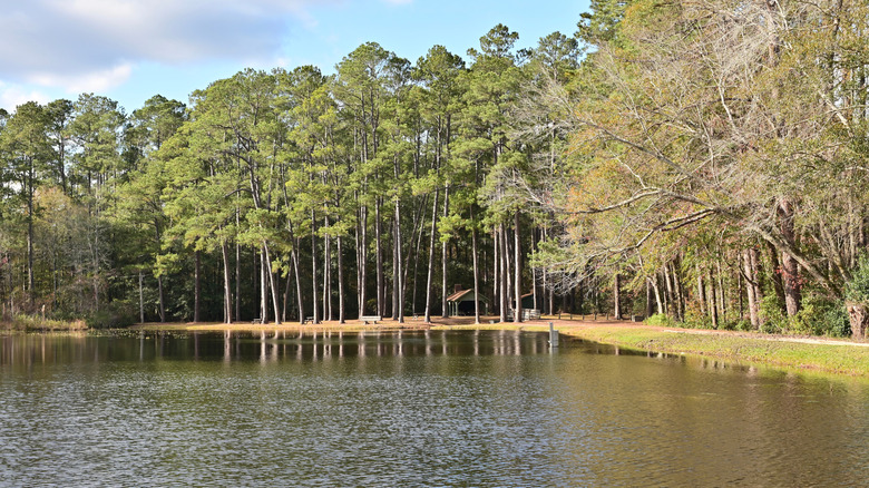 Trail around a lake in Aiken State Park