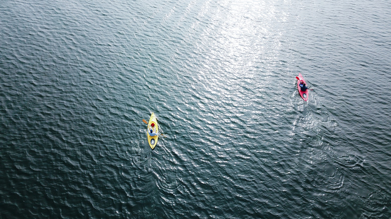 Kayakers paddling Lake Murray in Lexington, South Carolina