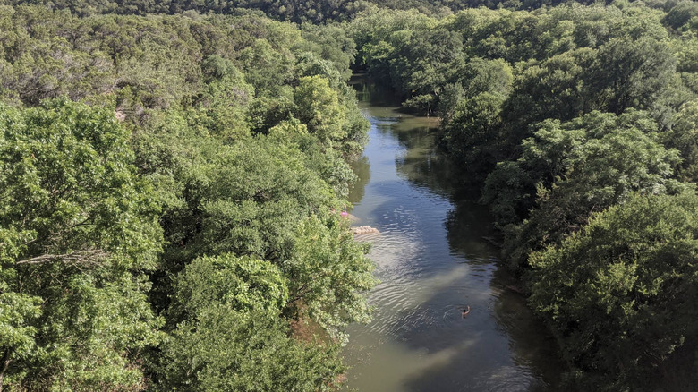 An aerial view of a person swimming in Barton Creek in the Barton Creek Greenbelt surrounded by lush nature near West Lake Hills, TX