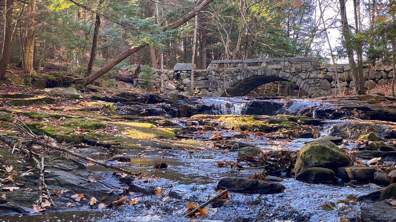 Arched stone bridge in Vaughan Woods, with a shallow brook in the foreground, surrounded by autumn trees