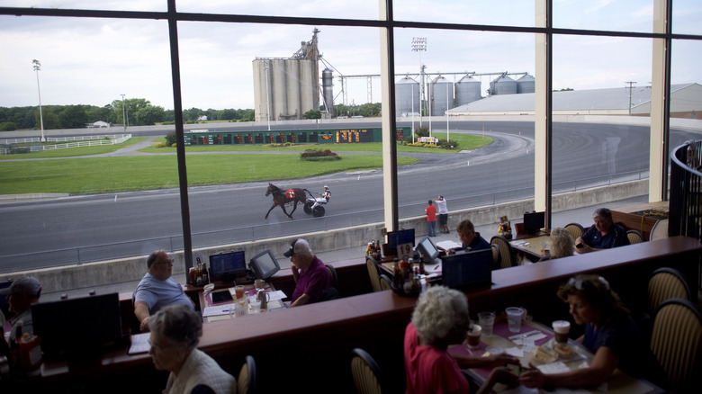 People dining inside the Harrington Raceway and Casino, with a horse on a race track outside the window