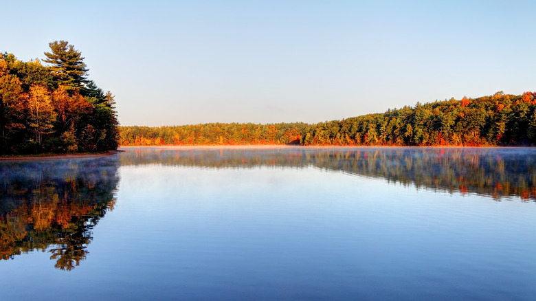 Walden Pond in Middlesex County, Massachusetts, where Henry David Thoreau was inspired to write Walden.