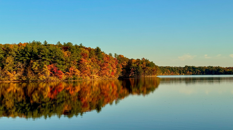 Lake Cochituate looking gorgeous in the Fall, deep within Cochituate State Park.
