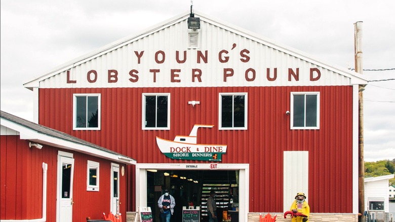 Young's Lobster Pound, a seafood supplier and restaurant in Belfast, Waldo County, Maine