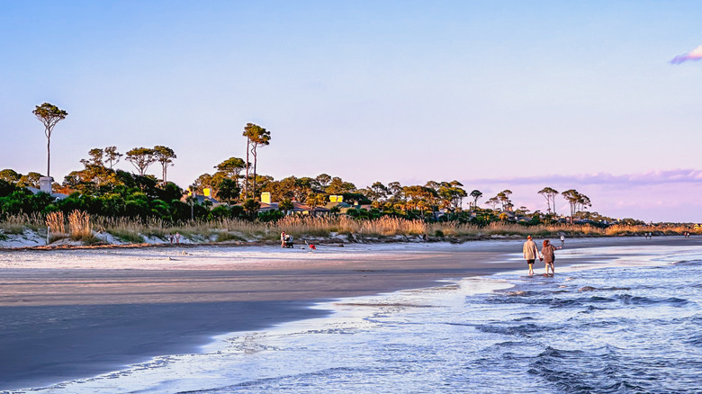 an older couple walks down a wide sandy beach at sunset with tall pines in the distance