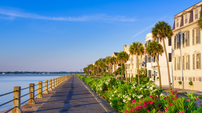 a row of colonial style homes on the right with palm trees, oleander bushes with flowers, and a walkway beside the Charleston harbor