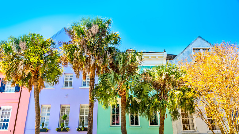 View of colorful houses on Rainbow Row in Charleston, SC