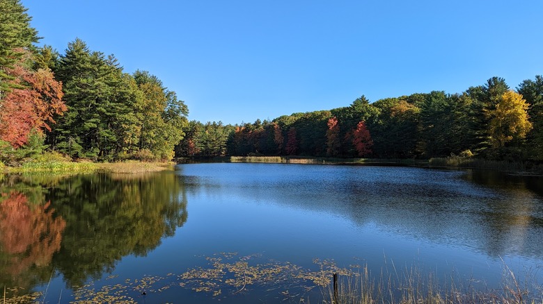 Great Bay National Wildlife Refuge, with blue water surrounded by trees with green, red, and yellow leaves, under a blue sky