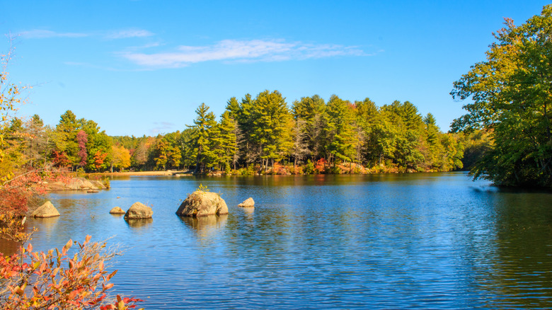 Pine trees and vibrant autumnal deciduous trees stand before the bright blue Burr Pond in Litchfield County, Connecticut, with wispy distant cirrus clouds that stand before a crisp sky