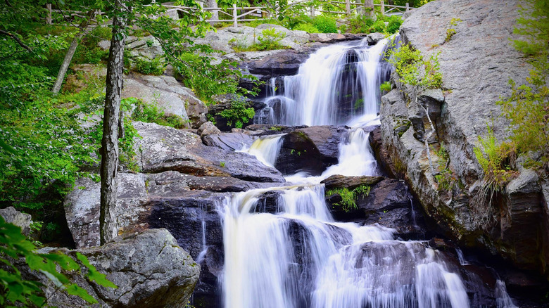 Chapman Falls at Devil's Hopyard State Park in East Haddam, Middlesex County, Connecticut, with dark rocks, verdant forest, and white water