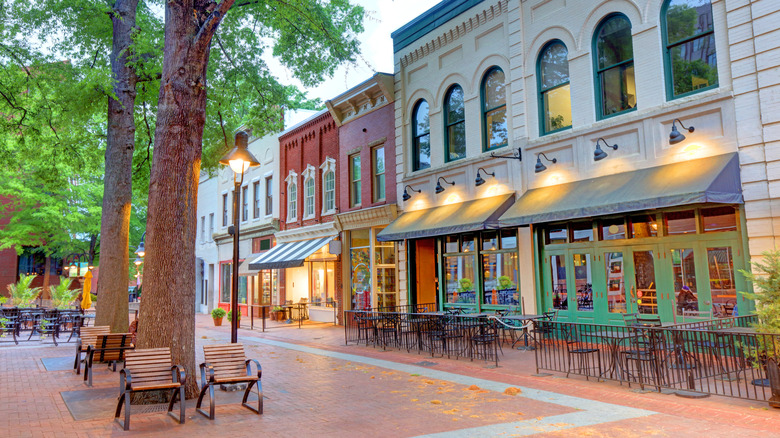 The downtown mall in Charlottesville, Virginia with trees, seating, and storefronts