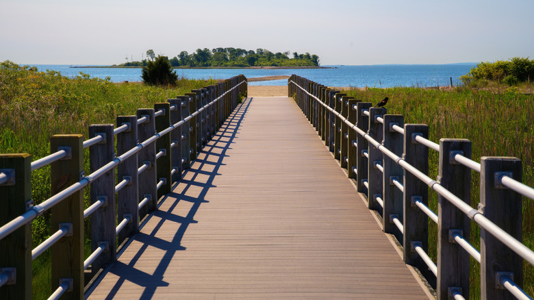 A boardwalk trail through wetlands in Connecticut, New England