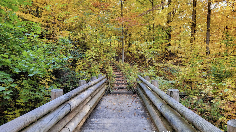 Fall foliage surrounding a wooden bridge and steps in Grant Park in Milwaukee County, WI