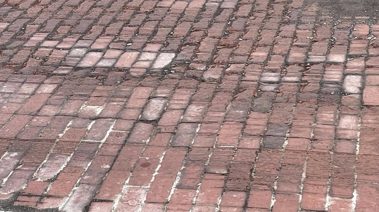 A close-up of a Carrollton, Texas street paved with brick