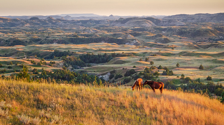Mountains and plains stretch out to the horizon in North Dakota