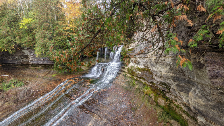 Waterfalls surrounded by trees at Whitefish Falls State Park in Michigan