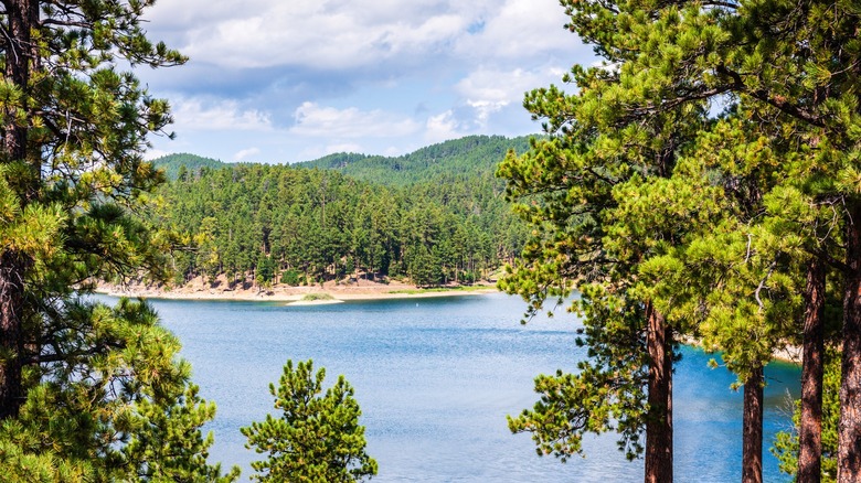 Pactola Reservoir in Black Hills National Forest, Pennington County, South Dakota