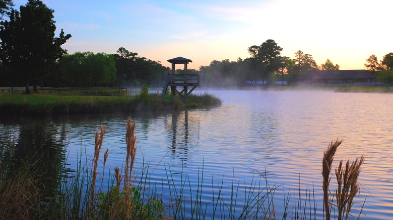 Fog moving across the water at a park in Arapahoe, North Carolina