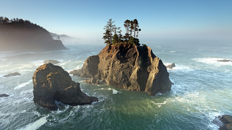 A sea stack along the Oregon Coast's Samuel H. Boardman Scenic Corridor, near Brookings