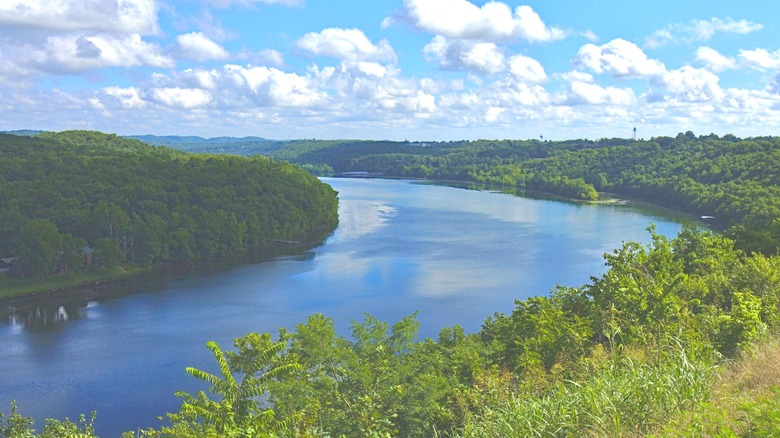 Lake Taneycomo, winding and narrow, surrounded by green trees