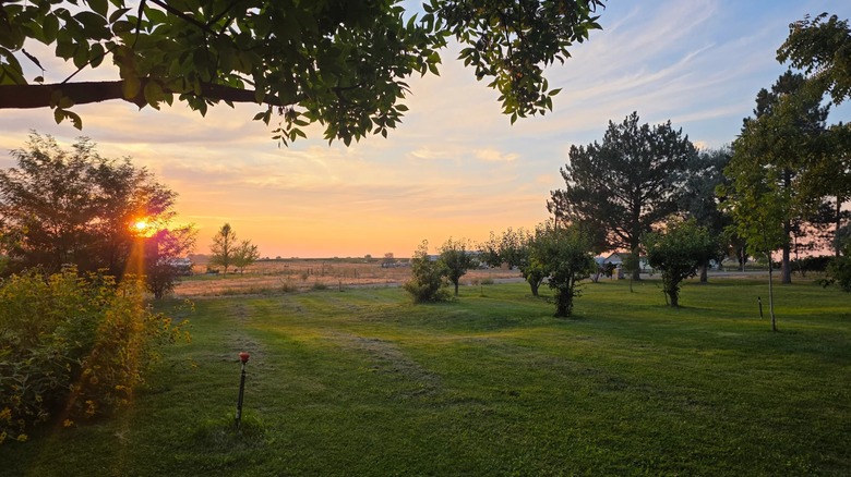 Indian Creek Winery in Kuna, Idaho