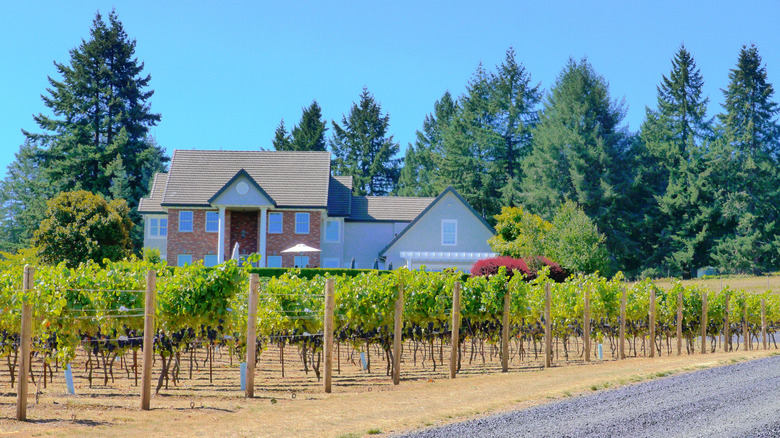 Five Fourteen Vineyards, located near Junction City in Lane County, Oregon.