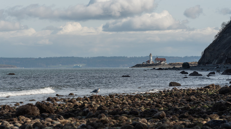 Beautiful view of a rocky shoreline along the Pacific Ocean in Port Townsend, Washington