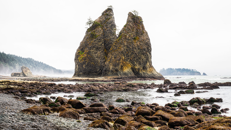 Beautiful view rocky sea stacks at Rialto Beach, Washington