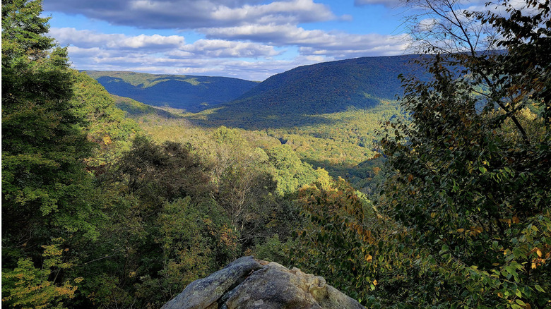 An aerial view over the lush foliage and rolling hills of Ohiopyle State Park on a cloudy, bright day in Fayette County, PA