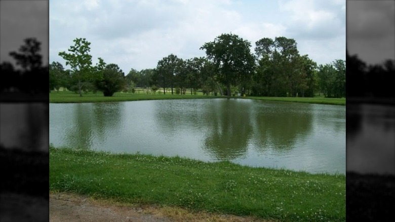 Taylor Lake Village Community Park in Texas