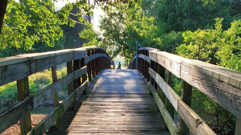 A walkway in James D. Martin Wildlife Park in Etowah County, Alabama