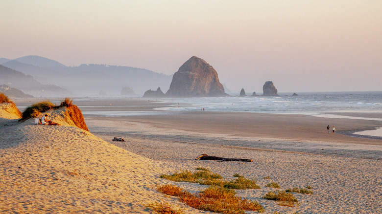 a picturesque beach on the Oregon Coast at sunset