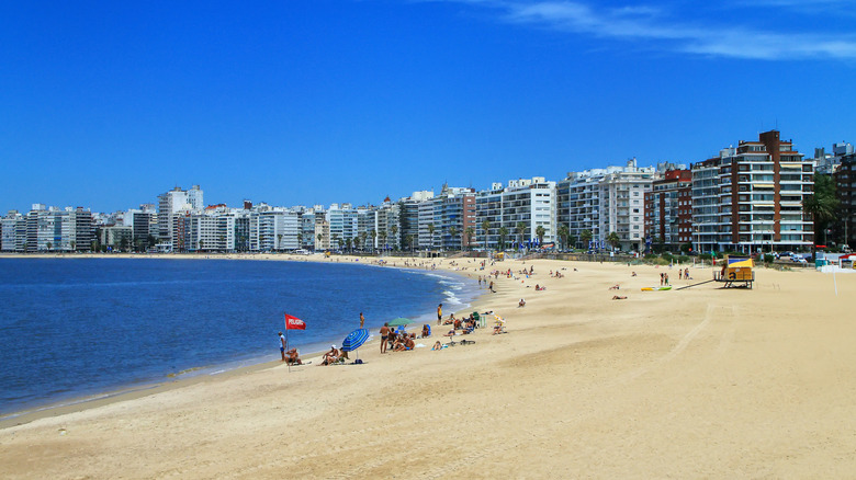 Pocitos beach in Montevideo, Uruguay, on a clear day