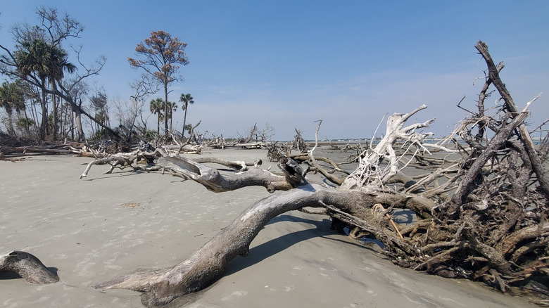Little Tybee Island in Georgia
