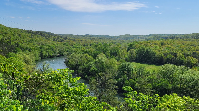 A view of White River over the tops of green trees from a hiking trail near Norfork, Arkansas