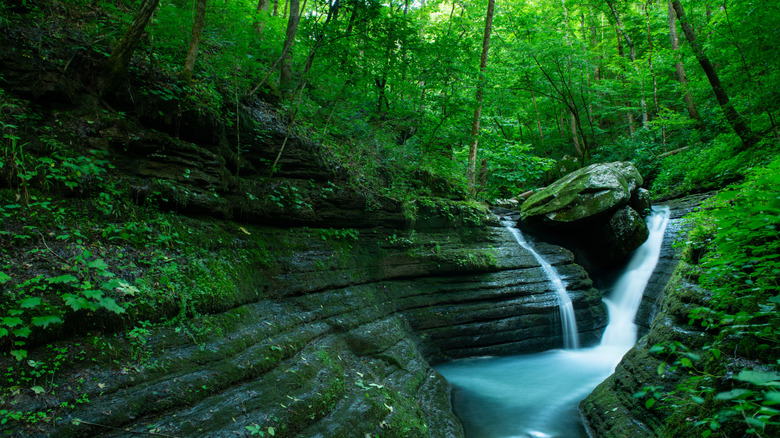 A waterfall tumbling through a lush green canyon in Arkansas