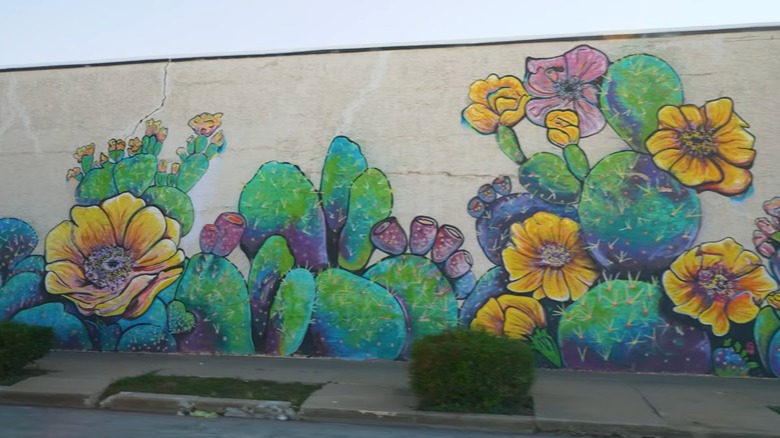 Vibrant outdoor mural in downtown Coleman, Texas depicting cacti and flowers