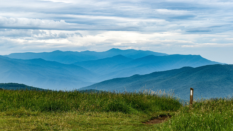 Max Patch on the Appalachian Trail in North Carolina's Great Smoky Mountains