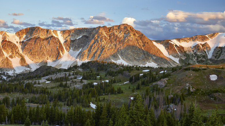 Forest and mountain views in Wyoming