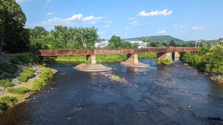 A bridge surrounded by lush greenery in Three Rivers, Palmer, Massachusetts