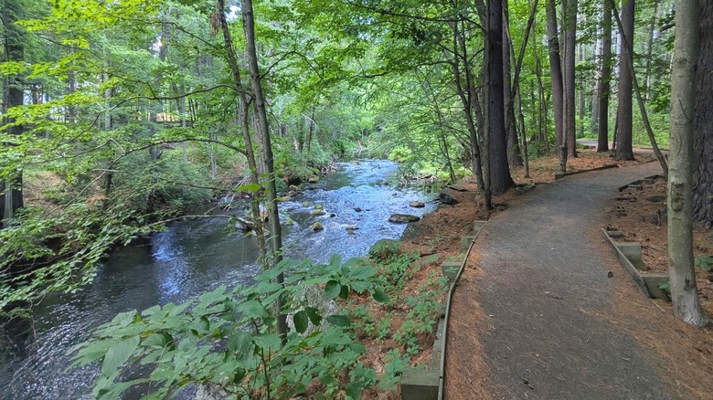 A river beside a paved path surrounded by trees in the Swift River Greenbelt Conservation Area