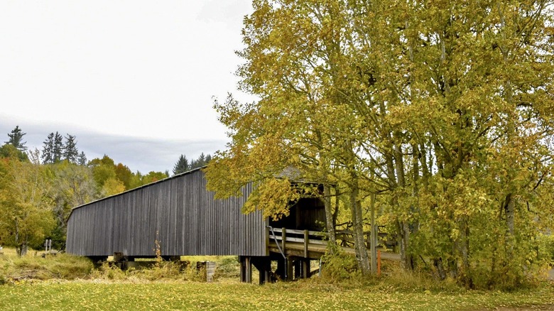 Image of the side of the Grays River Historic Covered bridge, a covered wooden bridge; image is in the early fall with trees that have golden and green foliage